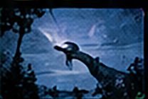 夜の空に伸びる影のイメージ