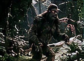 森の中の生物のイメージ