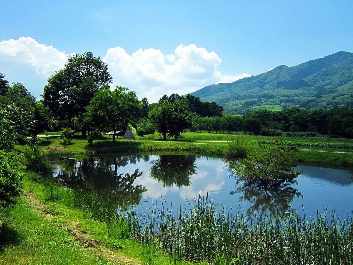 山を背に、池と木々が広がる晴れた日の遠野の里山の風景