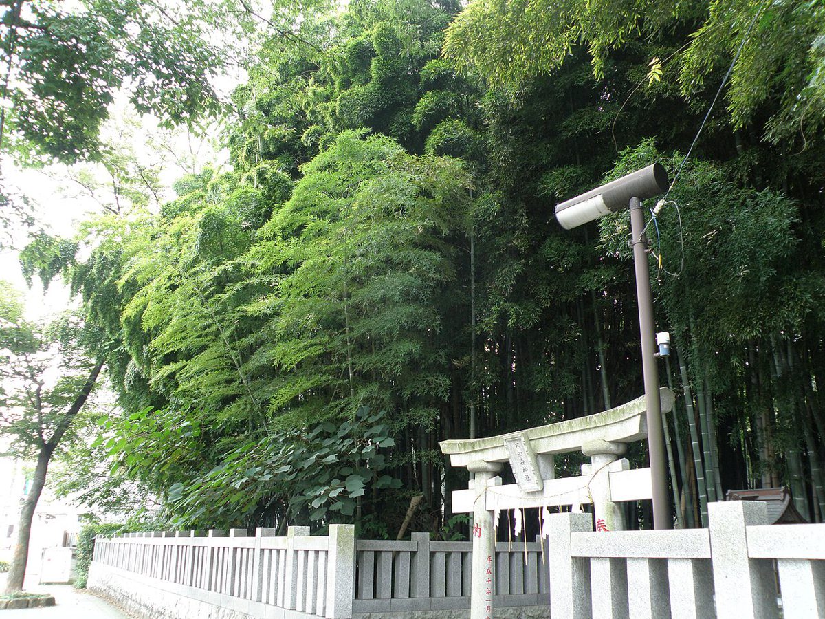 石の柵と小さな鳥居の奥に、竹がうっそうと茂る藪
