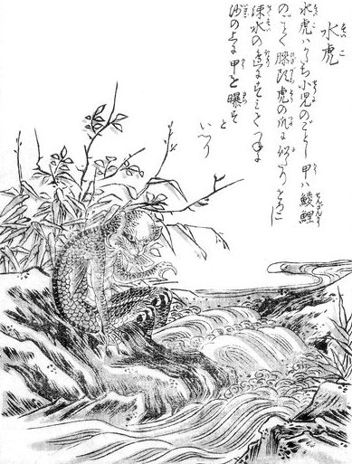 鳥山石燕が描いた水虎。うろこのある体で水辺にいる