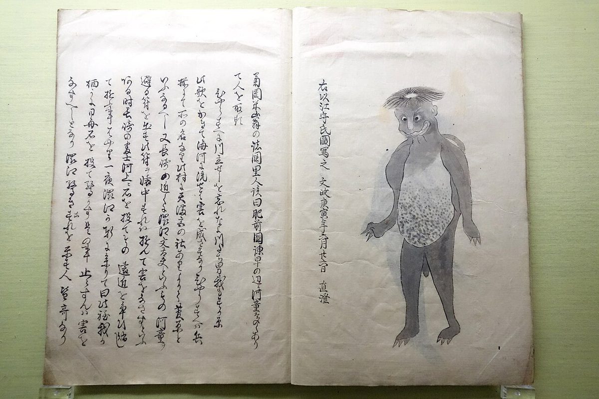 東京国立博物館に展示された、天明年間の水虎の図が描かれた和本
