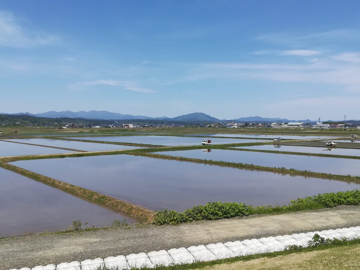 田植えを終えたばかりの水田が広がる盆地と、遠くの山並み
