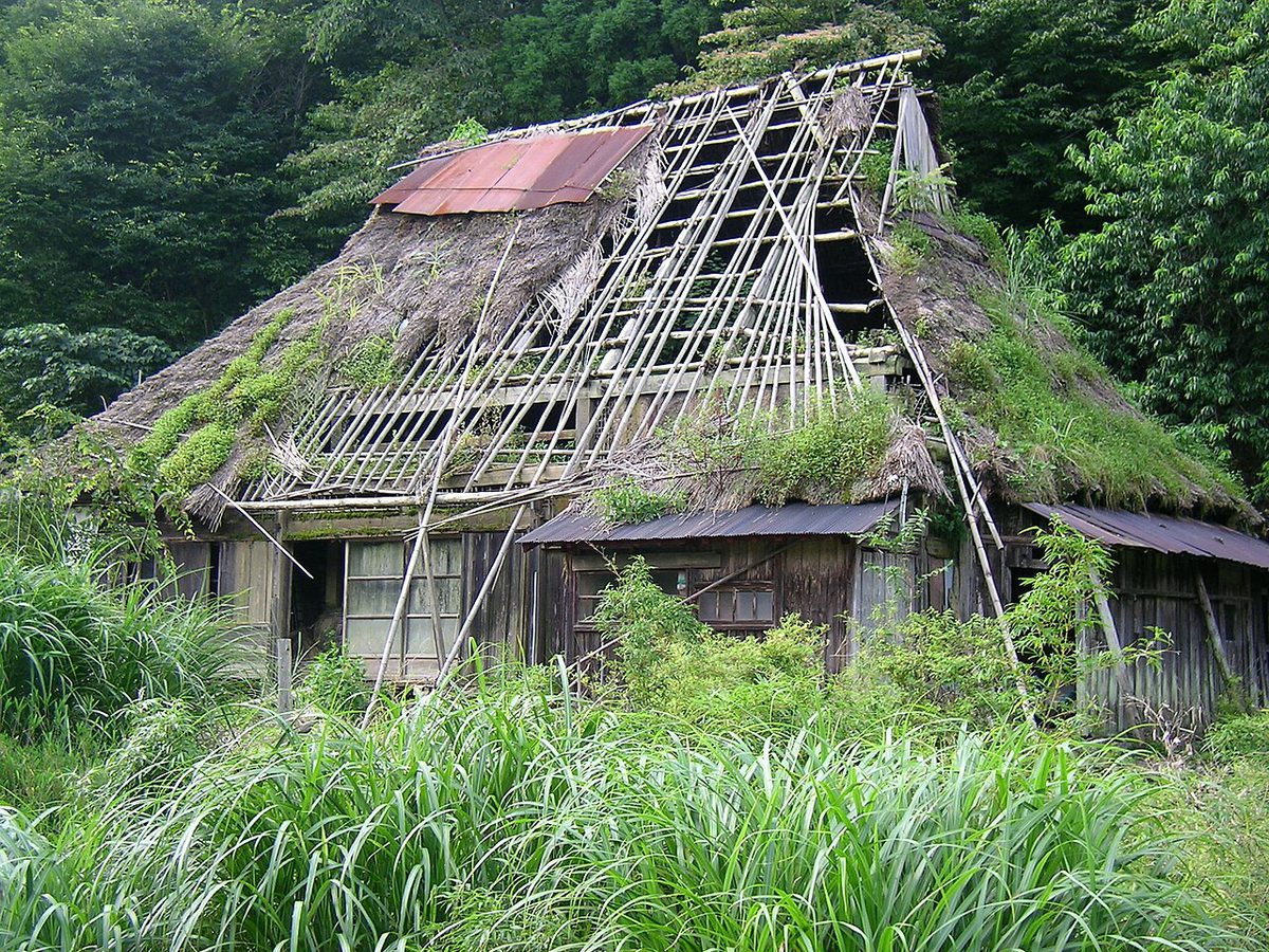 草におおわれ、屋根の骨組みがむき出しになった茅葺きの空き家