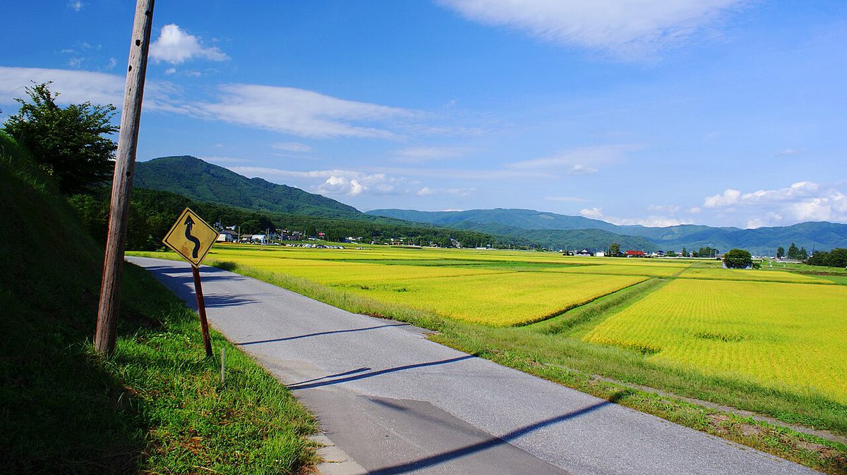 黄色く実った田んぼと、その向こうに連なる緑の山々。手前に細い道