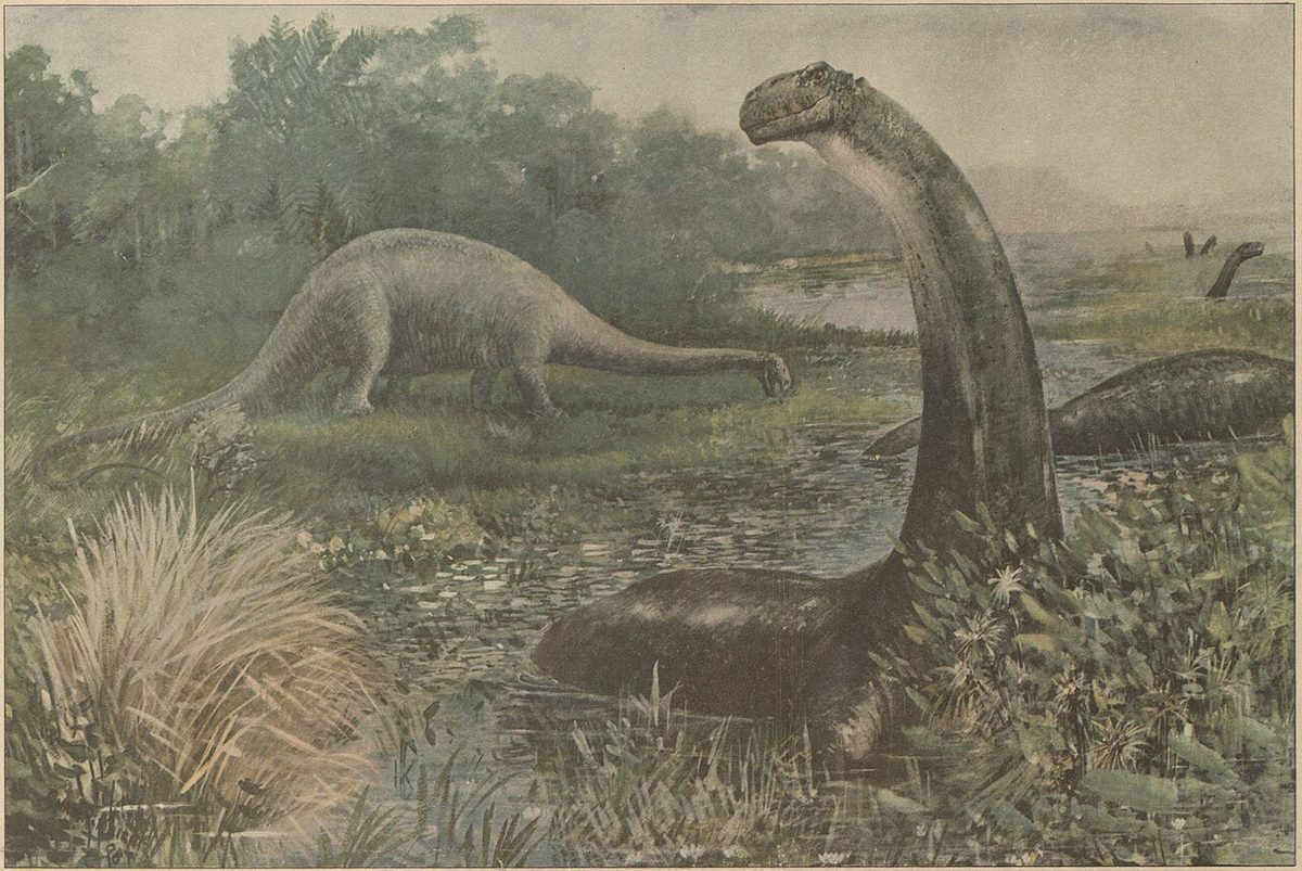 沼地につかるブロントサウルスと、岸で草を食べる竜脚類を描いた古い復元画