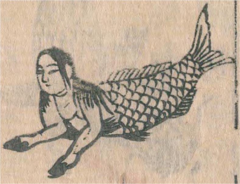 上半身が女性、下半身が魚の人魚を描いた木版画