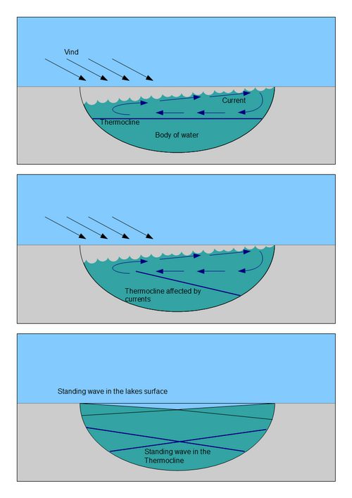 風が湖の表面の水を吹き寄せ、水温躍層が傾いて揺れる仕組みを示した3段の図