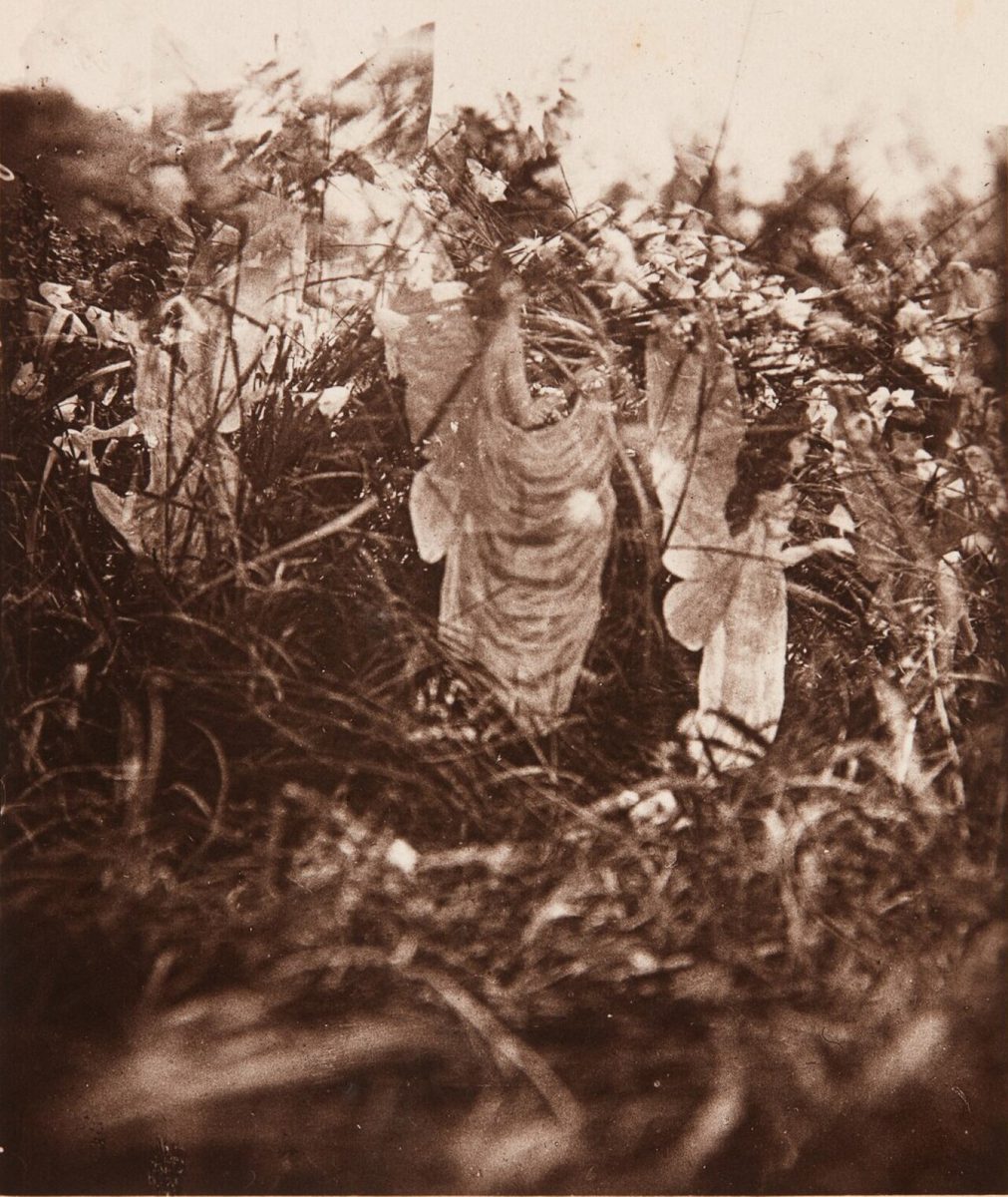 草むらの中に、薄い布のようなものと、ぼんやりした人の形がいくつか写った白黒写真