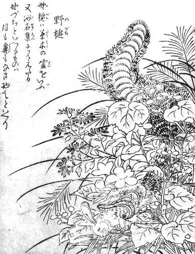 鳥山石燕が描いた野槌