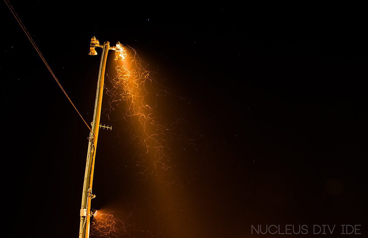 夜の投光器のまわりを飛ぶ蛾が、長い光の線になって写った写真