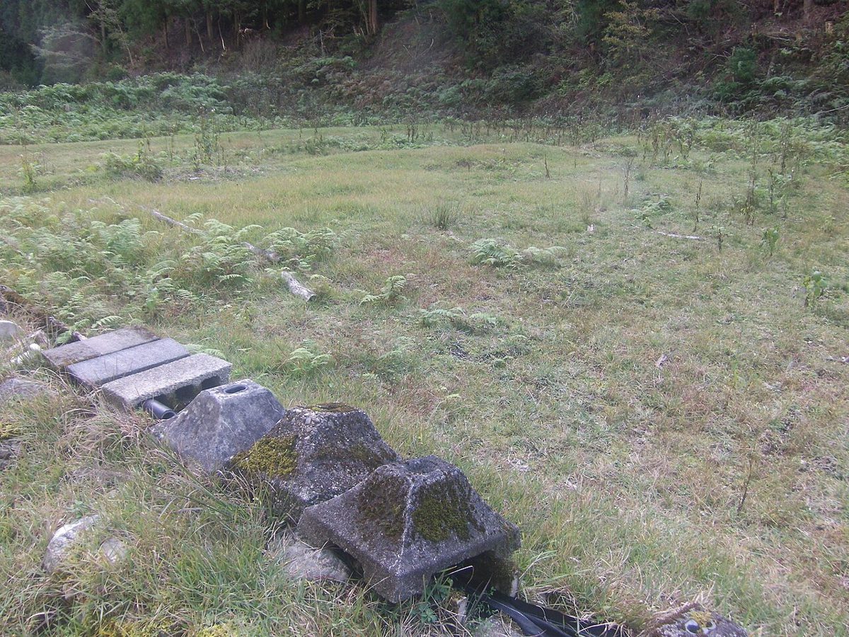 草におおわれた空き地と、苔むしたコンクリートの基礎石