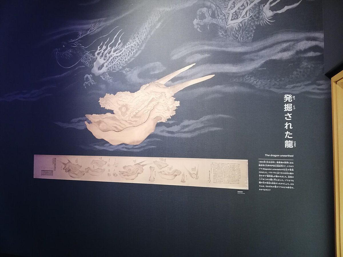 琵琶湖博物館の展示室入口の壁。龍骨図をもとにした大きな龍の頭のグラフィックと絵巻の複製