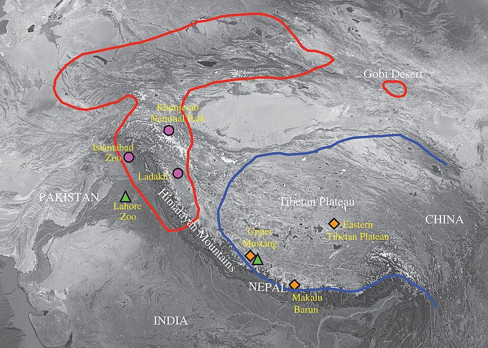 中央アジアからチベット高原の地図に、ヒマラヤヒグマ、チベットのヒグマ、ゴビのヒグマの分布と、試料を集めた場所が示されている