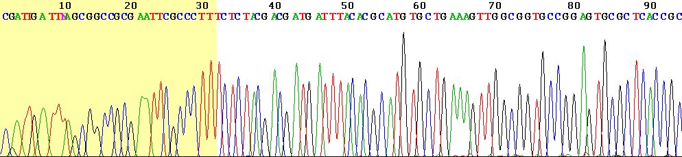 4色の山が並んだグラフと、その上に読み取られたA・T・G・Cの文字列