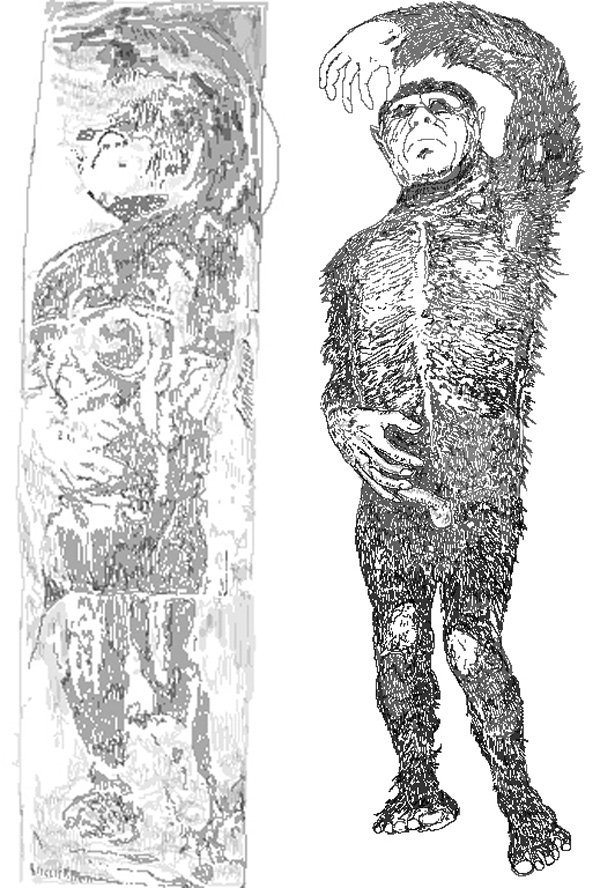 ミネソタ・アイスマンに関係する画像