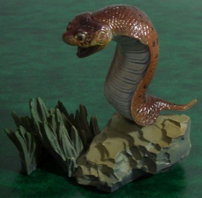 ツチノコに関係する画像
