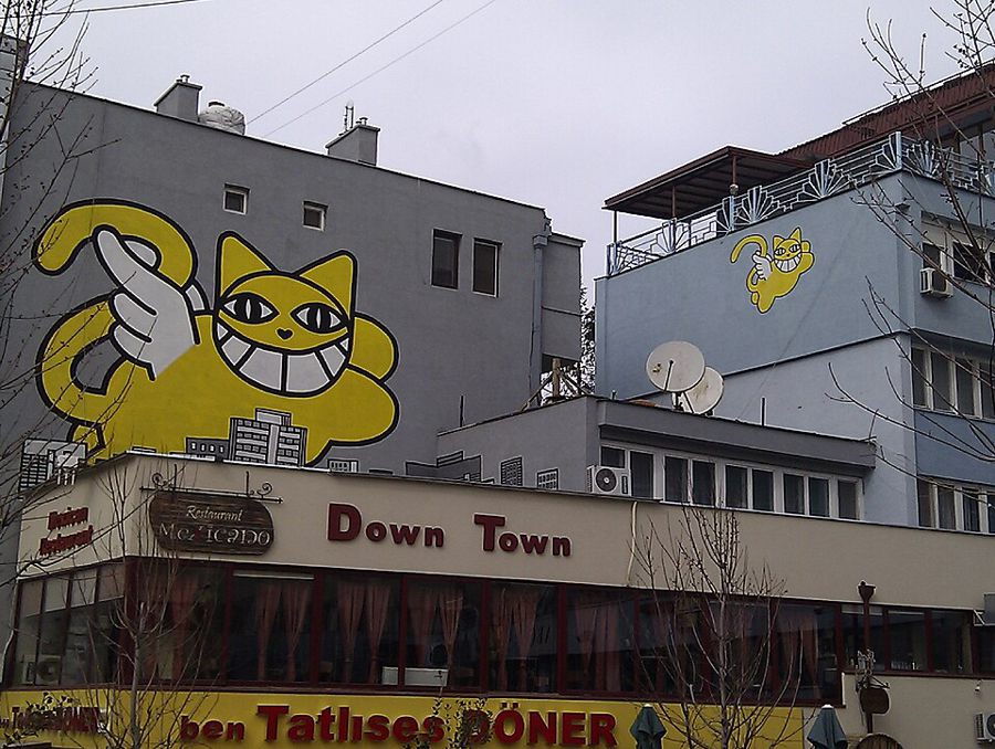 翼猫に関係する画像