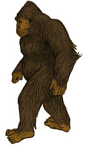 イエティに関係する画像